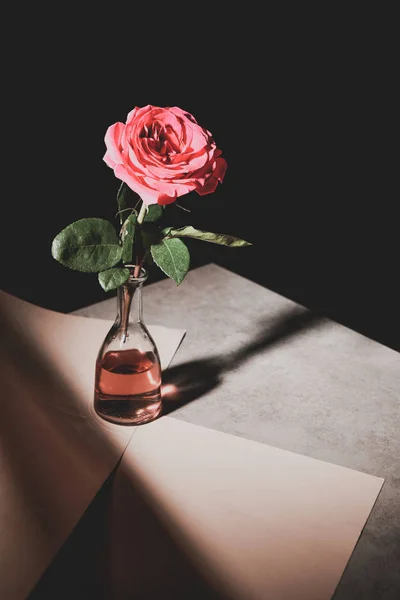 Rosa rosa flor en botella de vidrio sobre tabla de piedra con hojas de papel aislado en negro - foto de stock