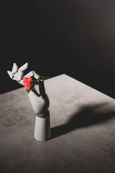 Рожева квітка троянди в роботизованій руці на кам'яному столі на чорному фоні — стокове фото