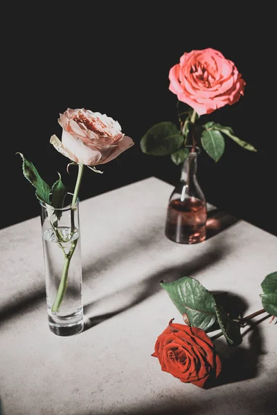 Вибірковий фокус рожевих і червоних троянд у скляних пляшках на кам'яному столі ізольовані на чорному — стокове фото