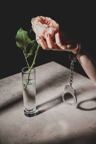 Partial view of woman in metal handcuffs holding pink rose flower isolated on black — Stock Photo