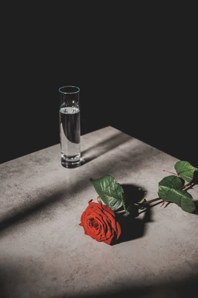 Flor de rosa roja y vidrio con agua en la mesa de piedra aislada en negro - foto de stock