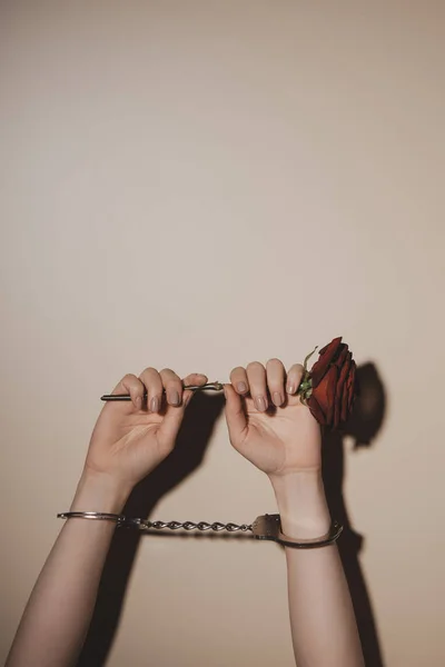Partial view of woman in metal handcuffs holding red rose flower on beige background — Stock Photo
