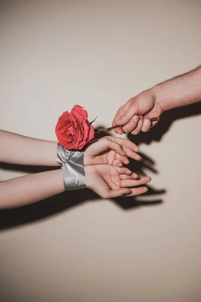 Partial view of taped woman and man holding red rose flower on beige background — Stock Photo