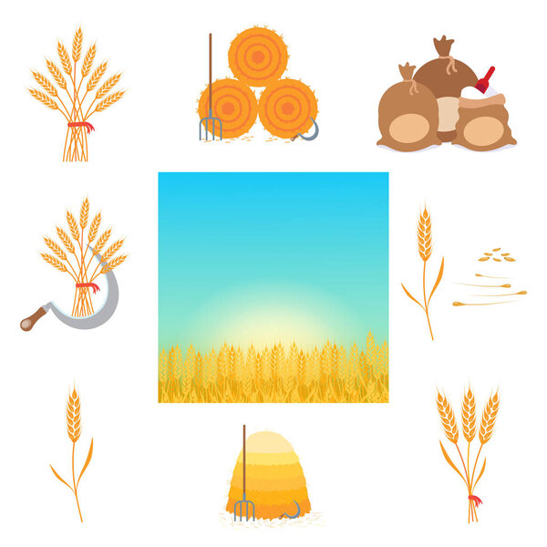 Wheat harvesting flat style design vector illustration set. Farming tools and producing things. Whole wheat grain with seeds, sickle, hayforkm hay bale, bags of flour, wheat field landscape isolated.