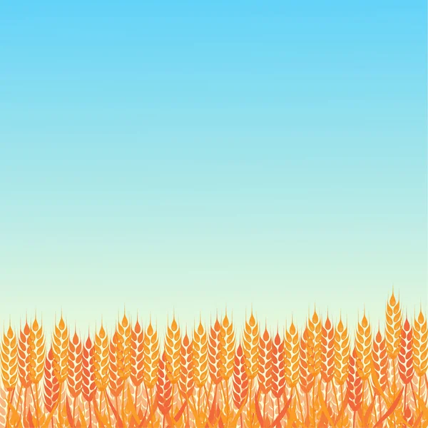 Summer Sunny Landscape Field Ripe Wheat Gradient Flat Style Design — Stock Vector