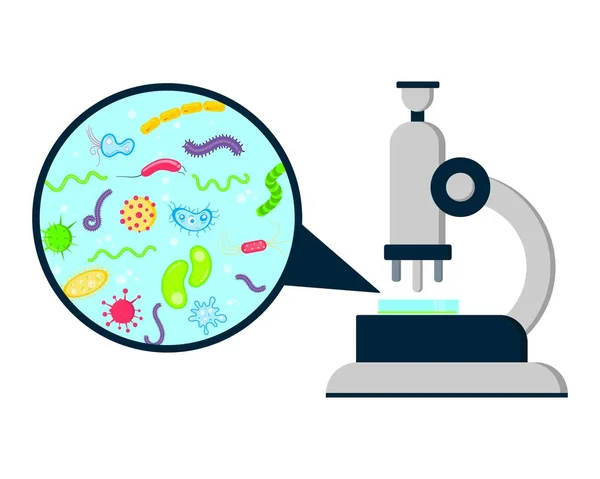 Biología Laporatory Laboratorio Ciencia Investigación Analiza Plantilla Equipo Microscopio Vista — Archivo Imágenes Vectoriales