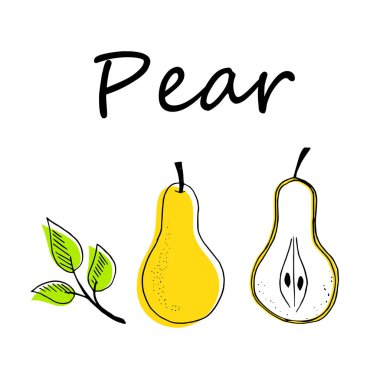 Armut meyve el çizilmiş vektör illüstrasyon beyaz arka plan üzerinde izole ayarlayın. Vegan organik gıda el siyah beyaz renklerde çizim çizilmiş.