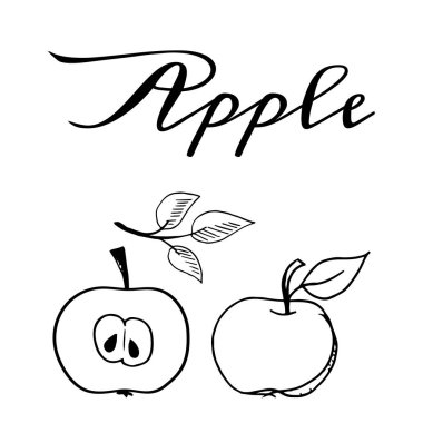Elma meyve el çizilmiş vektör illüstrasyon beyaz arka plan üzerinde izole ayarlayın. Vegan organik gıda el siyah beyaz renklerde çizim çizilmiş.