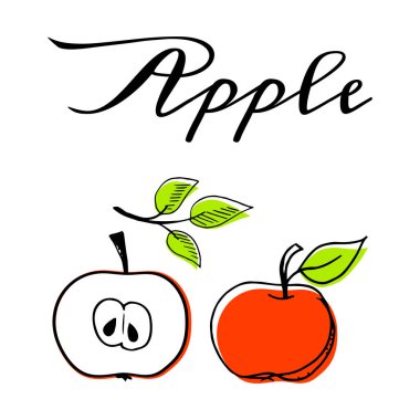 Elma meyve el çizilmiş vektör illüstrasyon beyaz arka plan üzerinde izole ayarlayın. Vegan organik gıda el siyah beyaz renklerde çizim çizilmiş.