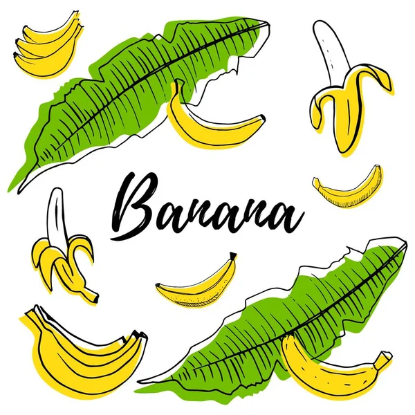 Conjunto Banana Frutas Desenhadas Mão Com Formas Cores Ilustração Vetorial — Vetor de Stock