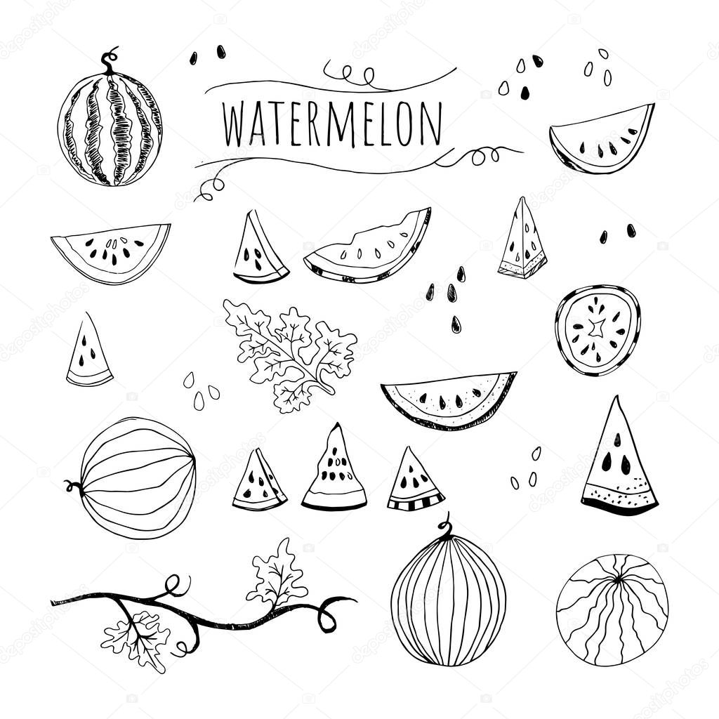 Hand drawn sketch style watermelon set vector illustration isolated on white background. Whole and parts, branch and leaf. Farm fresh healthy food fruits. Summer paty symbols concept.