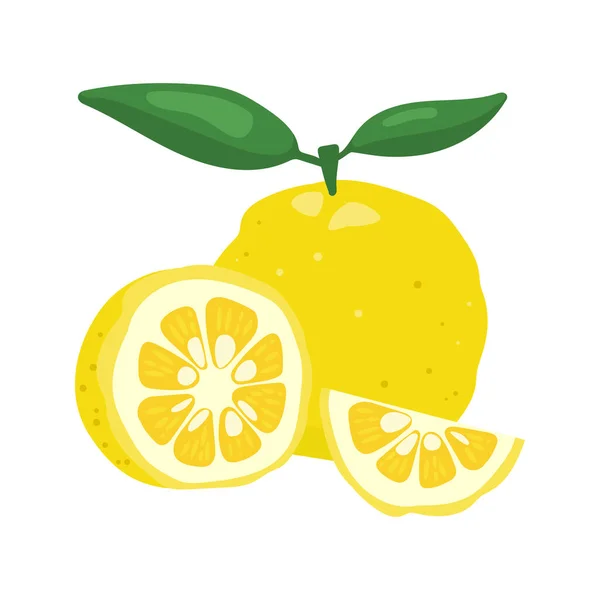 Yuzu japaness citron fruit vector illustration. — 스톡 벡터