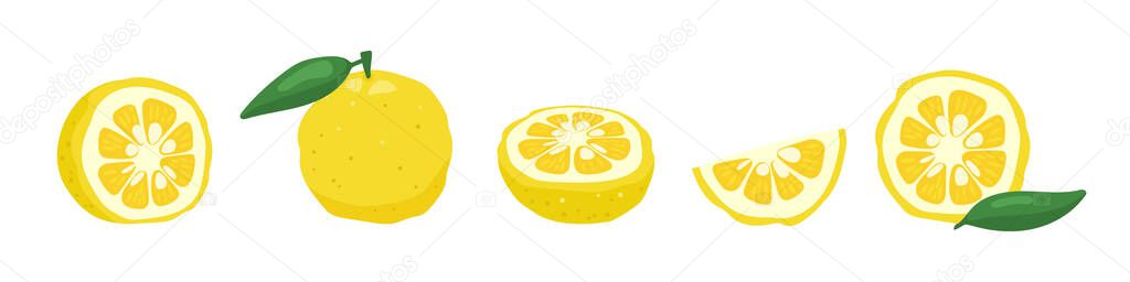 Yuzu japaness citron fruit vector illustration.