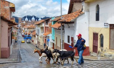 Cuenca, Ekvador - 13 Nisan 2019: Şehrin tarihi merkezinde benigno Malo ve Yeni Katedral veya Catedral de la Inmaculada Concepcin de Cuenca sokak görünümü. Dört keçisi olan adam bir caddeden geçiyor.