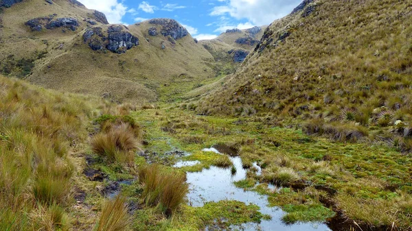 Milli Park Cajas Bürin Ler Vadisine Trail Azuay Eyaleti Ekvador — Stok fotoğraf