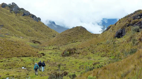 Cajas Milli Parkı Yakın Cuenca Bulutlu Yağmurlu Bir Günde Ekvador — Stok fotoğraf