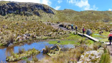 Toreadora gölüvadisinden geçen yolda turistler. And yaylaları. Cajas Milli Parkı. Toreadora gölü rekreasyon alanı. Ekvador, Güney Amerika
