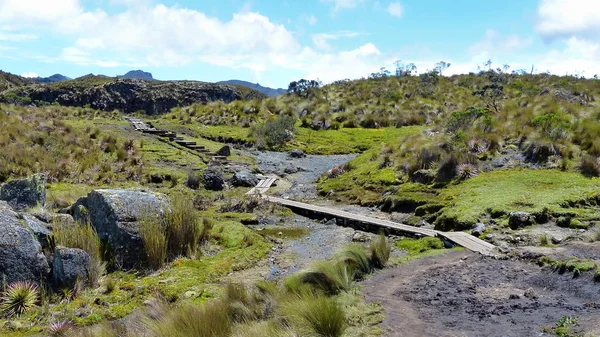 Toreadora Gölüvadisinden Geçen Yolda Turistler Yaylaları Cajas Milli Parkı Toreadora — Stok fotoğraf