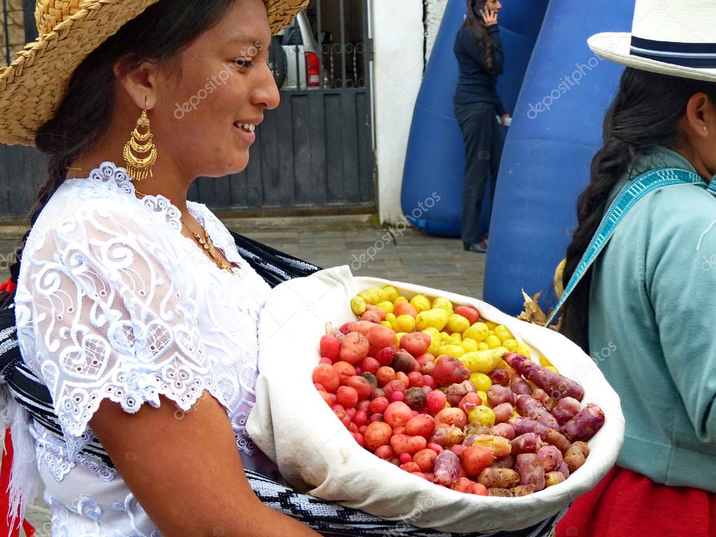 Cuenca, Ecuador - June 21, 2019: Village woman of Azuay province carries basket with Ullucus tuberosus beloved food in Ecuador which name here is melloco. Parade on Inti Raymi celebration in Cuenca.