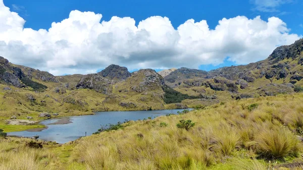 Güneşli Bir Günde Cajas Milli Parkı Nda Toreadora Gölü Laguna — Stok fotoğraf