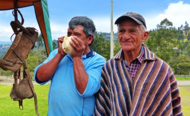 Cuenca, Ekvador - 7 Ekim 2018: Köyden iki Ekvador kıdemli adam. Biri tipik Latin Amerika pançosu gibi giyinmiş, diğeri ise büyük deniz kabuğuyla ses çıkarıyor. Sırada eski ahşap eyer var. Ekvador
