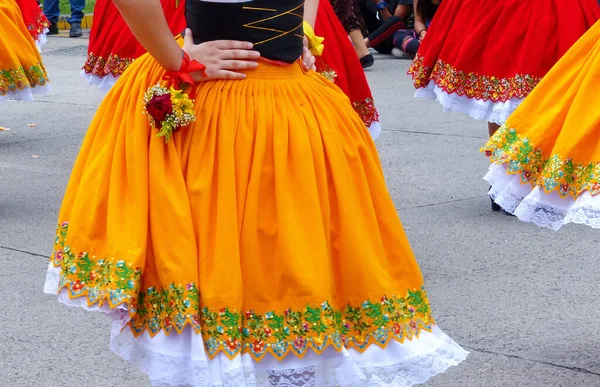 Falda Bailarina Folclórica Provincia Azuay Con Bordados Típicos Trasero — Foto de Stock