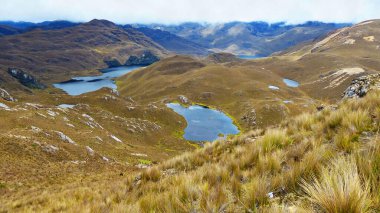 Cajas Ulusal Parkı, Andean Highlands, Güney Amerika, Ekvador, Azuay ili, Cuenca 'nın batısında. Büyük göl ya da Laguna Larga, Mirador Tres Cruces yakınlarında. 