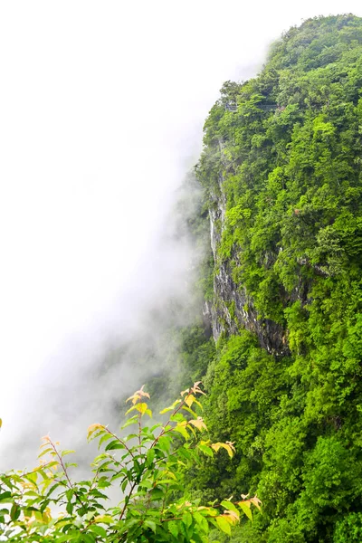 Wulingyuan Scenic Area Which Designated Unesco World Heritage Site 1992 — Stock Photo, Image