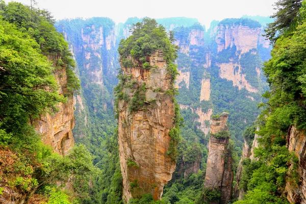 Wulingyuan Scenic Area Która Została Wyznaczona Światowego Dziedzictwa Unesco 1992 Obrazek Stockowy