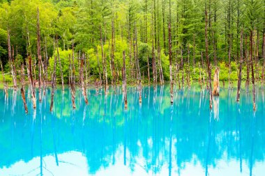 Mavi gölün dışında kaplıca şehri, Shirogane Onsen adlı sonra doğal mineraller suda borcu var derin mavi renk olduğunu.