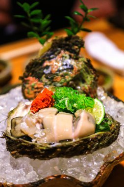 Taze istiridye sashimi, lezzetli ve pahalı gıda Japonya.