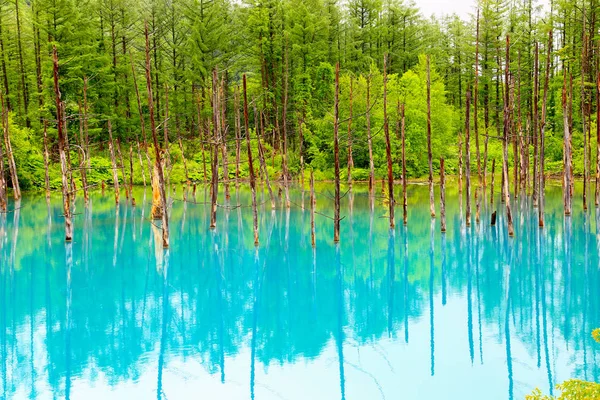 Stagno Blu Fuori Della Città Termale Shirogane Onsen Prende Nome — Foto Stock