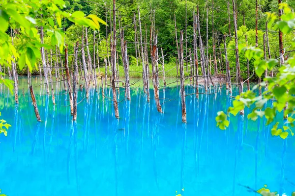 Stagno Blu Fuori Della Città Termale Shirogane Onsen Prende Nome — Foto Stock