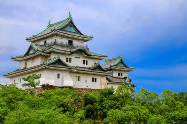 Wakayama citye, Wakayama ili, Japonya, Wakayama Kii nehrin ağzında oturur.