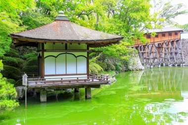 Wakayama citye, Wakayama ili, Japonya, Wakayama Kii nehrin ağzında oturur.