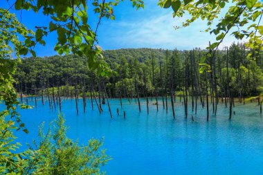 Mavi gölün dışında kaplıca şehri, Shirogane Onsen adlı sonra doğal mineraller suda borcu var derin mavi renk olduğunu.