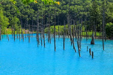 Mavi gölün dışında kaplıca şehri, Shirogane Onsen adlı sonra doğal mineraller suda borcu var derin mavi renk olduğunu.