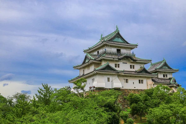 Wakayama Nella Città Wakayama Prefettura Wakayama Giappone Trova Alla Foce — Foto Stock