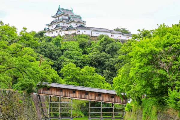 Wakayama Nella Città Wakayama Prefettura Wakayama Giappone Trova Alla Foce — Foto Stock