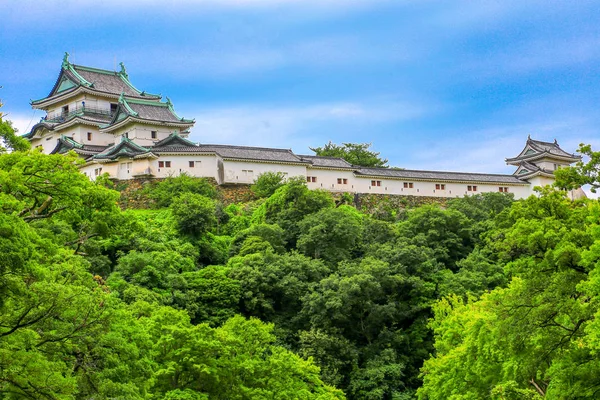 Wakayama Nella Città Wakayama Prefettura Wakayama Giappone Trova Alla Foce — Foto Stock