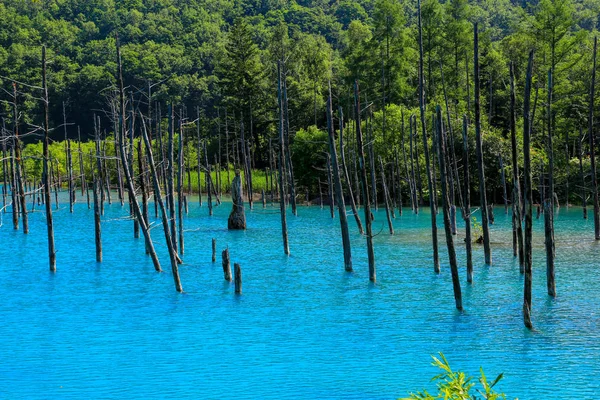 温泉城外的蓝色池塘是白金温泉镇的命名后 是深蓝色的 它欠自然矿物溶解在水中 — 图库照片