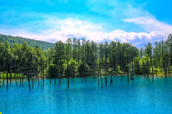 Stagno Blu Fuori Della Città Termale Shirogane Onsen Prende Nome — Foto Stock