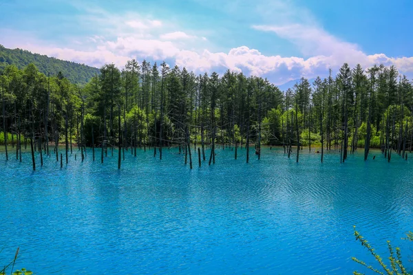 Stagno Blu Fuori Della Città Termale Shirogane Onsen Prende Nome — Foto Stock