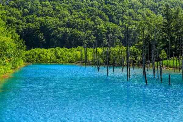 Stagno Blu Fuori Della Città Termale Shirogane Onsen Prende Nome — Foto Stock