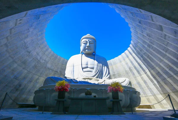 Big Buddha Makomanai Takino Kyrkogård Hokkaido Japan — Stockfoto