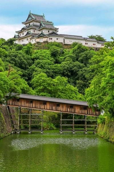 Wakayama Wakayama Citye Prefektura Wakayama Japonia Siedzi Przy Ujściu Rzeki Obraz Stockowy