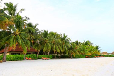 Maldiv, vistit bir yaşam süresi için en meşhur mekanlar.