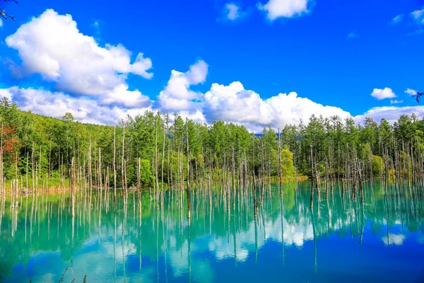 Γαλάζια Λίμνη Έξω Από Την Πόλη Ζεστό Άνοιξη Του Shirogane — Φωτογραφία Αρχείου