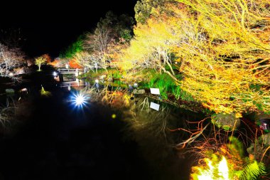 Renkli gece görünümünün pound üzerinde Japannese kelime ile ayna demektir..