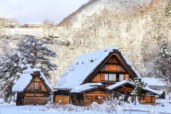 白川が冬のシーズンに行く — ストック写真